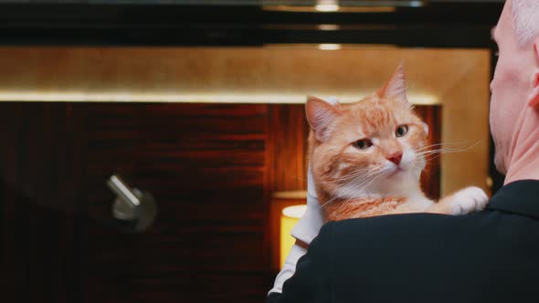 Ginger cat on the shoulder of a butler in uniform alt