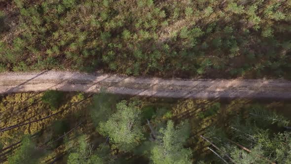 Aerial view of a rural road passing through a beautiful green forest.