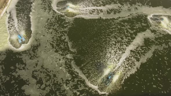 Shrimp Farming in Indonesia alt