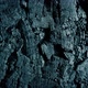 Rough Bark Texture Closeup Shot - VideoHive Item for Sale