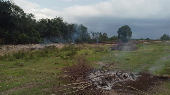 Fly over open fire of tree at plantation alt