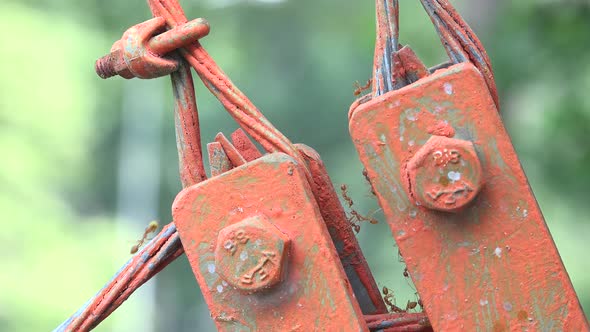 Ants Carry food on steel cables.