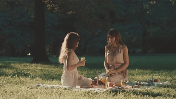 Beautiful girls on a picnic  alt