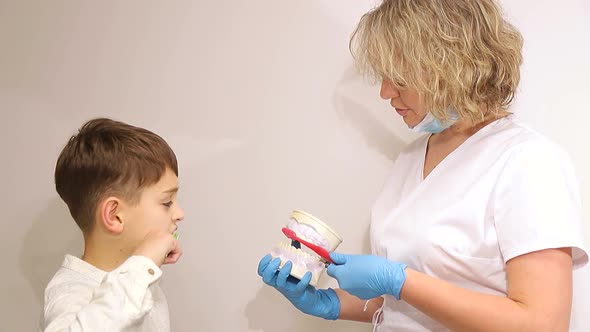 Dentist examines the baby teeth. Painless dental treatment, caries in children alt