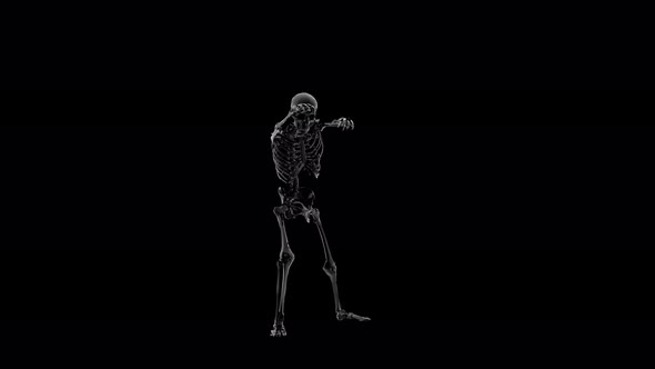 Skeleton Walking 01