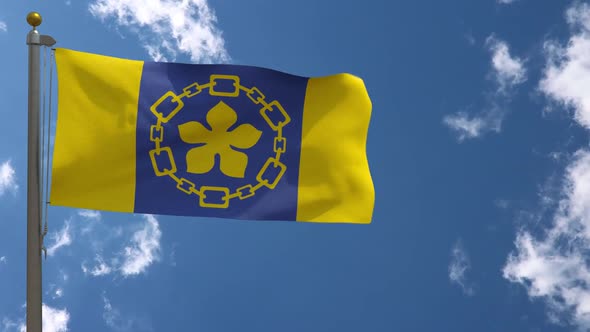 Hamilton City Flag Ontario (Canada) On Flagpole alt