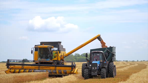 Grain harvester combine working in field alt