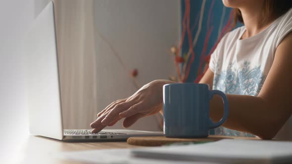 Young Happy Woman Sits in Bright Apartment or Office Interior and Works at a Laptop, Freelancer Girl alt