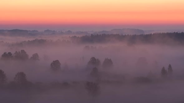 Beautiful dramatic early morning foggy landscape just before sunrise