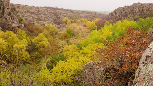 Autumn Trees and Large Stone Boulders Around alt