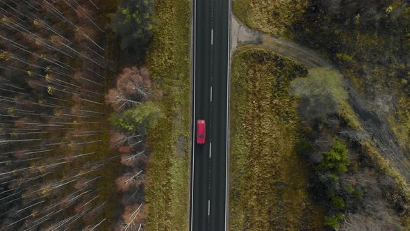 Aerial, rising, drone shot, above cars on a dark, asphalt road, between pine trees and leafless, bir alt