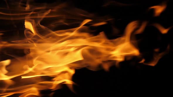 Bonefire, Fire flames in campfire, campsite at Masai Mara Park, Kenya, vertical video, slow motion alt