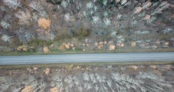 Aerial Video of the Road in the Middle of Autumn Forest. Fall alt