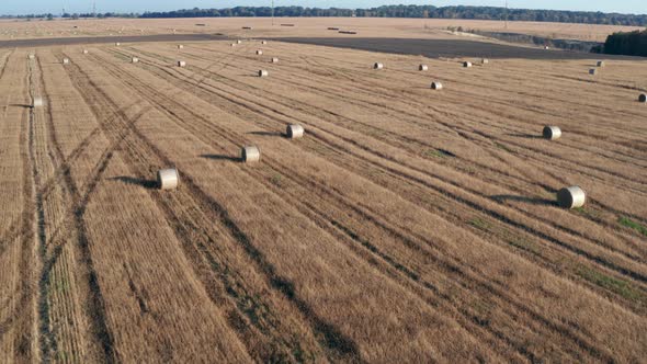 Beautiful morning flight over haystacks. The field is covered with hay. alt