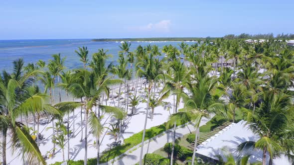 Flight over perfect white sand beach with palms in Caribbean, Playa Bavaro alt