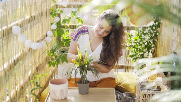 Woman Takes Care of the Plant on Balcony
