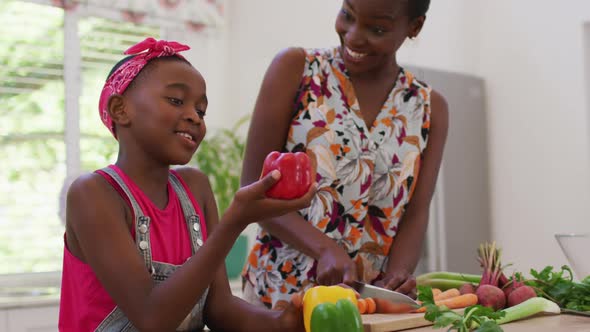 African american mother and daughter chopping vegetables in the kitchen at home alt