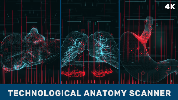 Technological Anatomy Scanner. Part 3