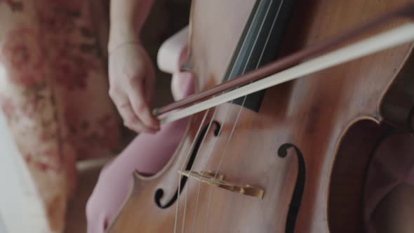 Close View of Female Violoncellist Playing on the Strings with Fiddlestick alt