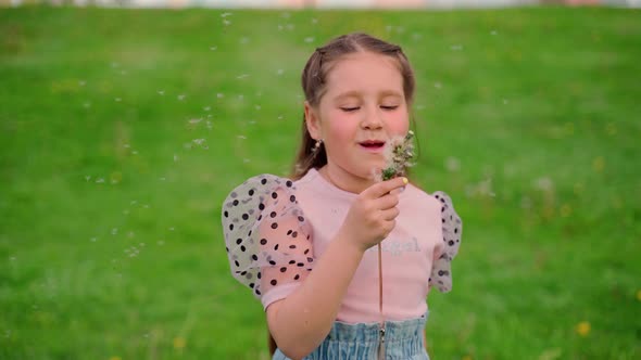 Girl blowing out dandelions outside green grass background. Happy little young female child kid alt