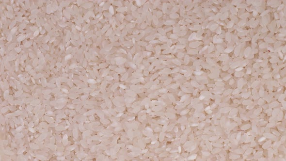 Raw Rice Closeup Rotation Slow Mo