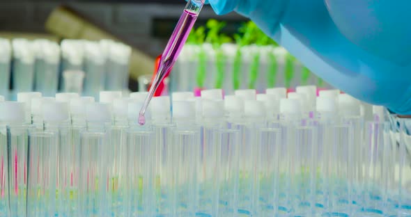 Researcher Dripping Vaccine Samples Into Test Tubes  Closeup  Video alt