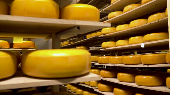 Cheese on Shelves of the Storage Chamber