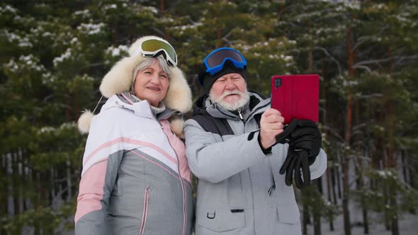 Active Pensioners in Warm Clothes Take a Selfie on a Smartphone Background of Green Trees in Forest