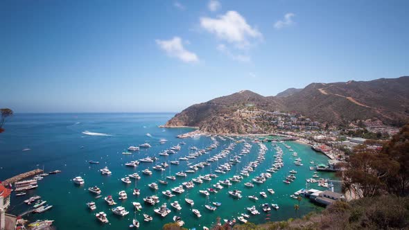 Bay and Town of Avalon on Catalina Island alt
