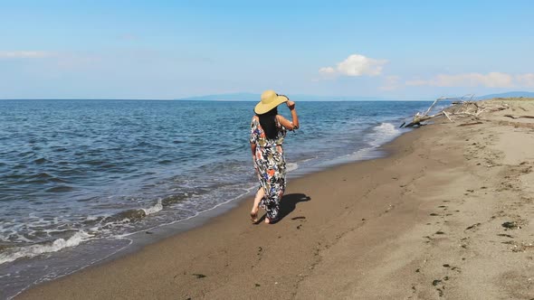 A Woman Walks Alone on the Beach alt