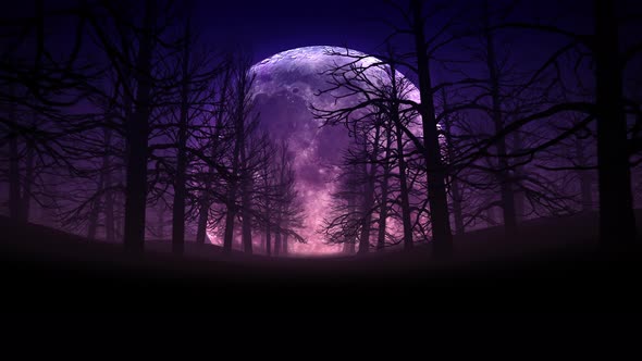 Full Moon Night In Forest Halloween Background 01 4k