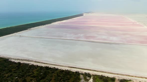 Pink Salt Beach Aerial Drone in Yucatan