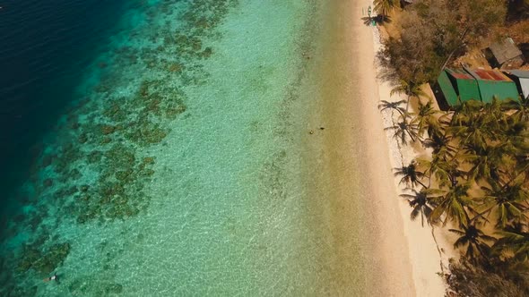 Beautiful Tropical Island alt