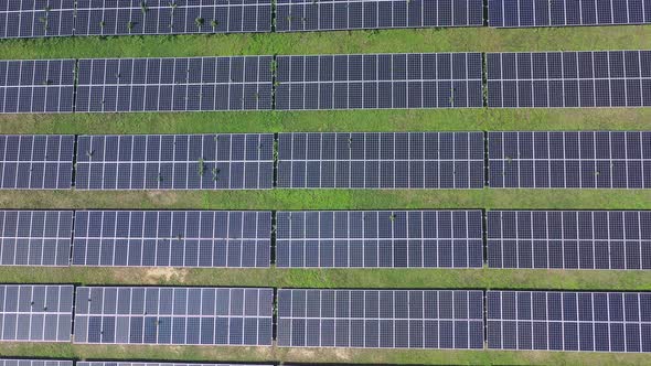Aerial view of Ecology solar power station panels in the fields green energy. Landscape electrical i