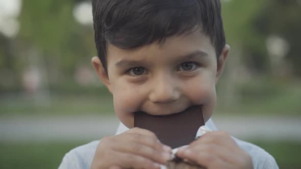 Closeup Portrait Cute Happy Little Boy Chewing Sweet Delicious Chocolate alt