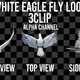 White Eagle Fly 3Clip Alpha Loop - VideoHive Item for Sale