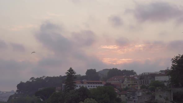 Cloudy sunset in Porto with seagulls flying in the sky alt