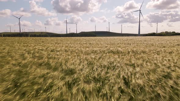 Low flight over an orange grain field towards a wind park in Germany. Wide angle aerial footage alt
