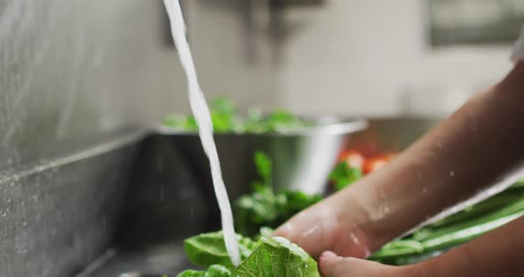 Close up of caucasian female chef washing vegetables in restaurant kitchen alt