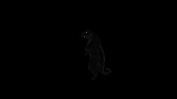 Panther Dancing HD alt