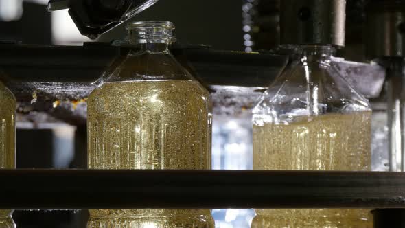 Many Metallic Nozzles Pouring Sunflower Oil in Empty Bottles on Conveyor 