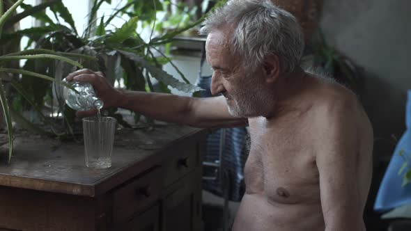 Alcoholic Drinks Vodka at Home alt