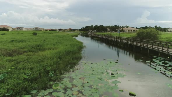 Aerial view of mangrove swamp with wooden bridge.Water lily. Lily pads. Kiosk alt