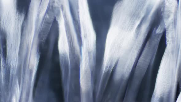 Cinematic Abstract Motion Background (No CGI used) alt