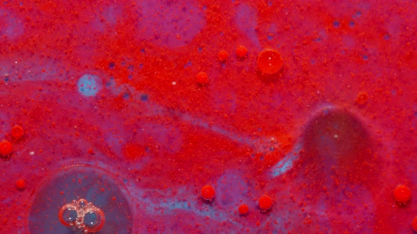 Bubbles Float in Liquid Paint Mixing Ink Oil and Milk Abstract Multicolor Hypnotic Painting alt