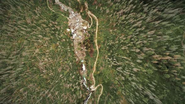 Top Down View of Spring Rapid Stream Pine Forest alt