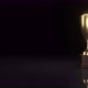 Award Trophy, Rotation Loop Gold Cup and Dark Background. - VideoHive Item for Sale