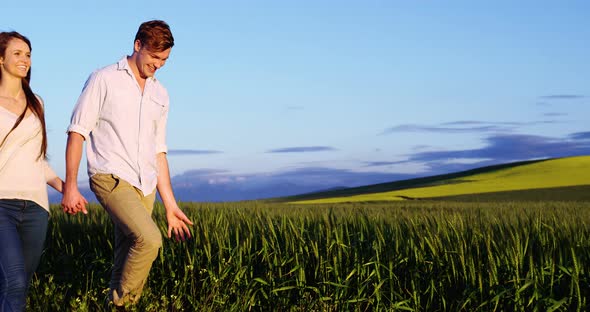 Romantic couple holding hands while walking in field alt