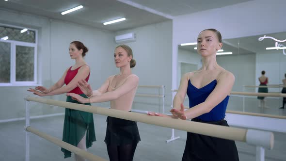Slim Elegant Graceful Women Moving Hands Squatting at Dancing Barre in Studio Indoors alt