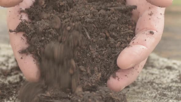 Pair of hands in soil alt